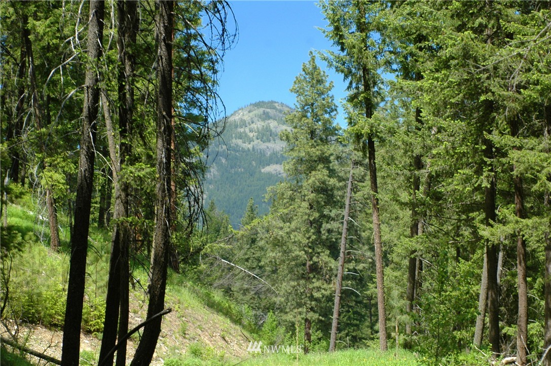 401 Wolf Creek Road Winthrop, WA 98862 - Photo 17 of 25 Gallery Image 17