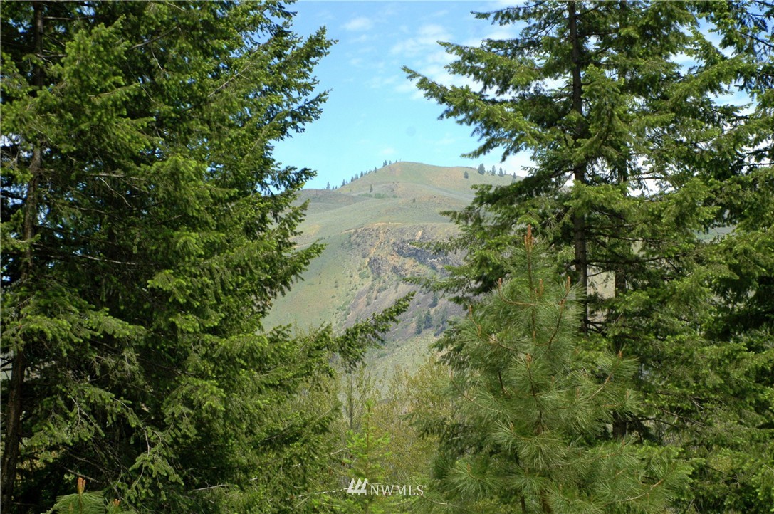 401 Wolf Creek Road Winthrop, WA 98862 - Photo 19 of 25 Gallery Image 19