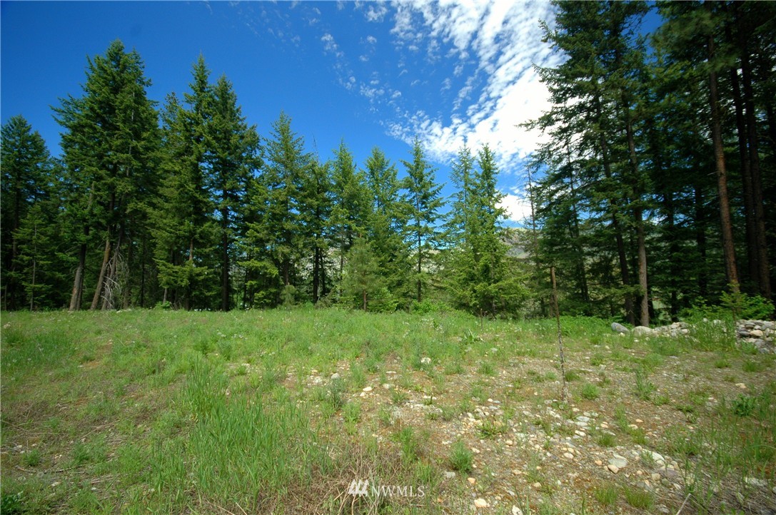 401 Wolf Creek Road Winthrop, WA 98862 - Photo 20 of 25 Gallery Image 20
