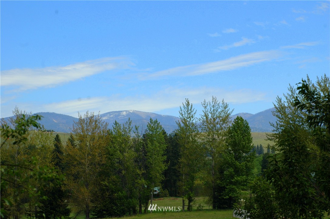 401 Wolf Creek Road Winthrop, WA 98862 - Photo 3 of 25 Gallery Image 3