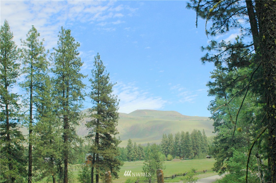 401 Wolf Creek Road Winthrop, WA 98862 - Photo 21 of 25 Gallery Image 21