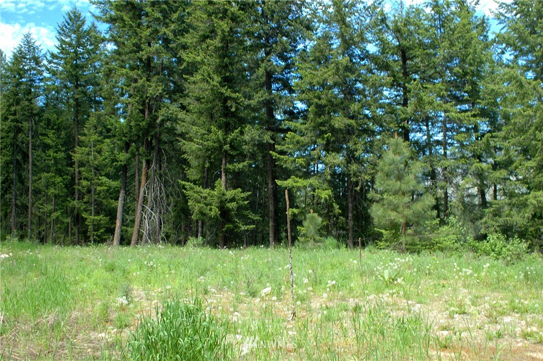 401 Wolf Creek Road Winthrop, WA 98862 - Photo 22 of 25 Gallery Image 22
