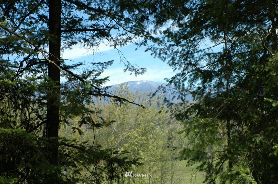 401 Wolf Creek Road Winthrop, WA 98862 - Photo 23 of 25 Gallery Image 23