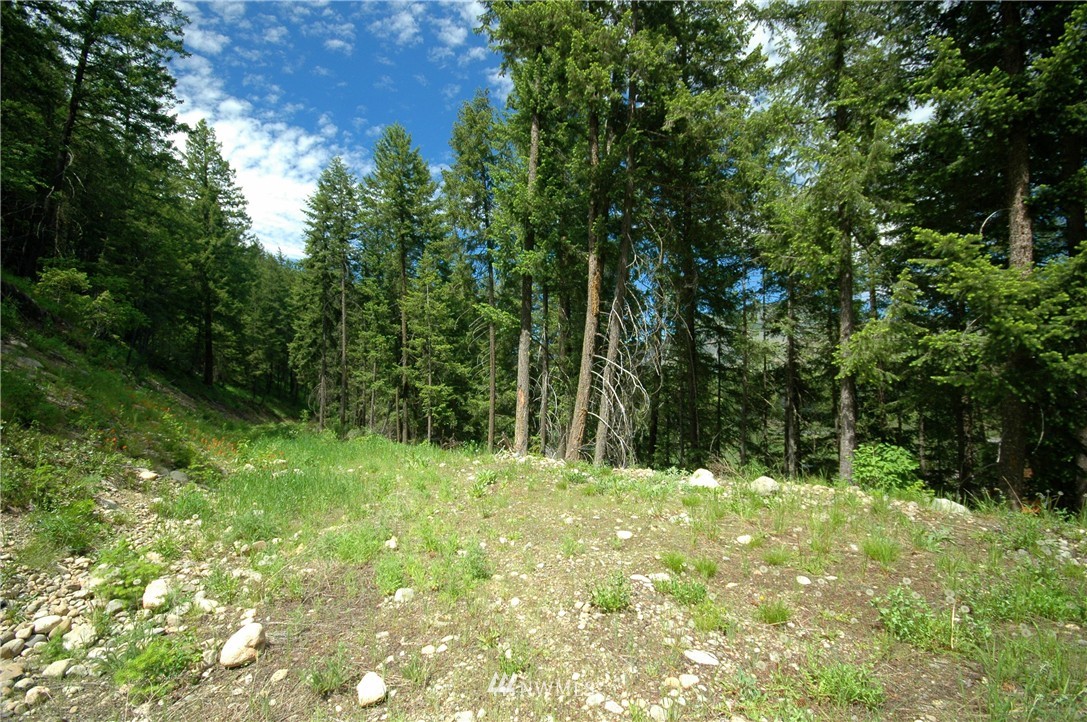 401 Wolf Creek Road Winthrop, WA 98862 - Photo 24 of 25 Gallery Image 24