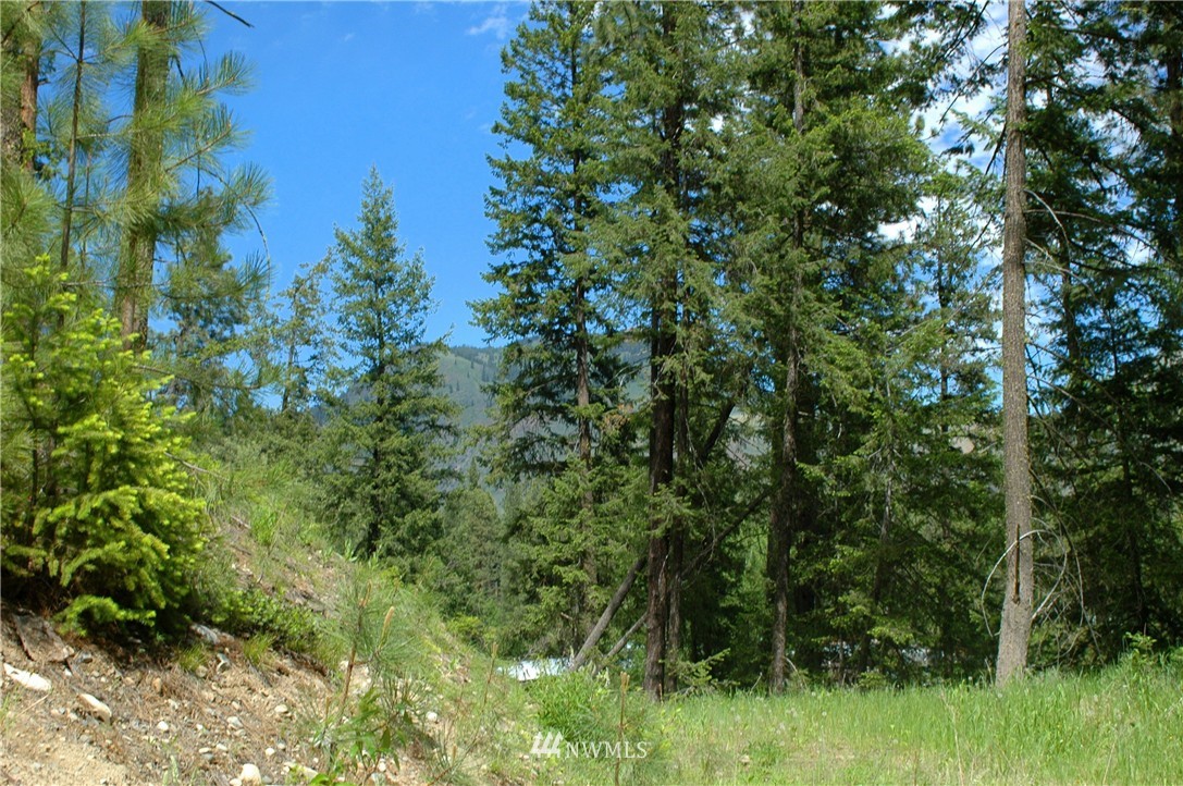 401 Wolf Creek Road Winthrop, WA 98862 - Photo 25 of 25 Gallery Image 25