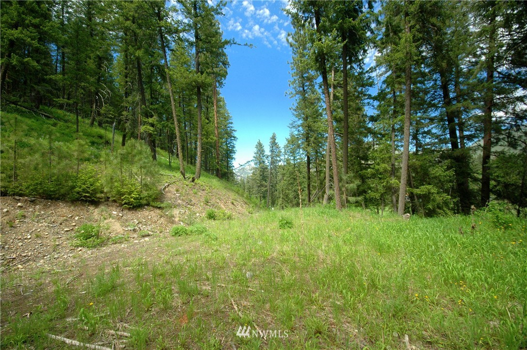 401 Wolf Creek Road Winthrop, WA 98862 - Photo 4 of 25 Gallery Image 4