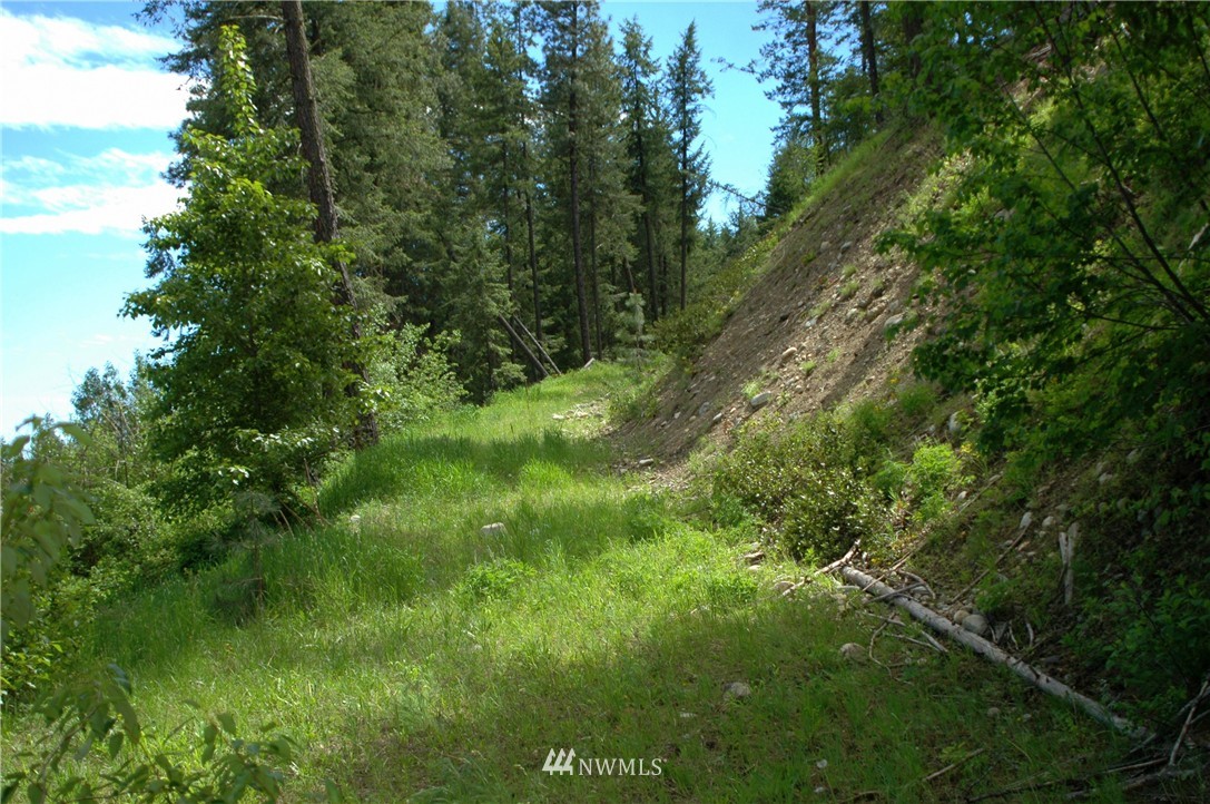 401 Wolf Creek Road Winthrop, WA 98862 - Photo 5 of 25 Gallery Image 5