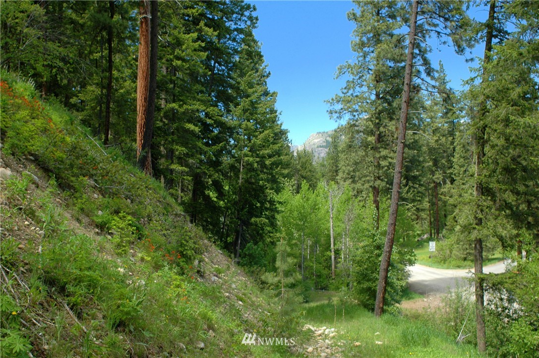 401 Wolf Creek Road Winthrop, WA 98862 - Photo 6 of 25 Gallery Image 6