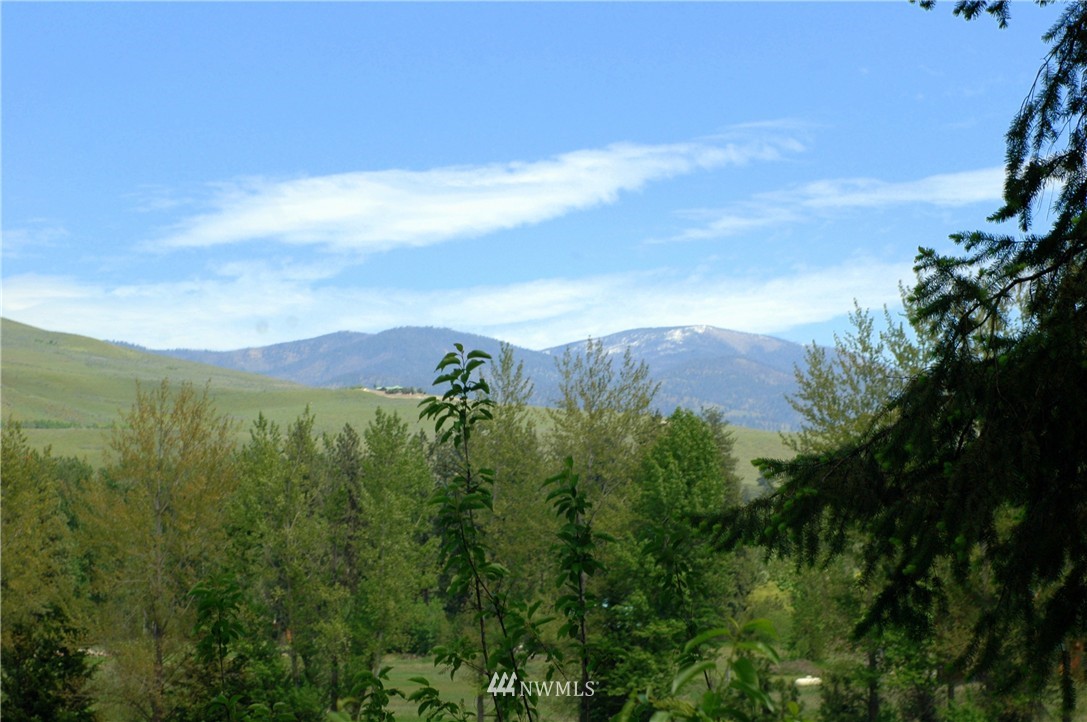 401 Wolf Creek Road Winthrop, WA 98862 - Photo 8 of 25 Gallery Image 8
