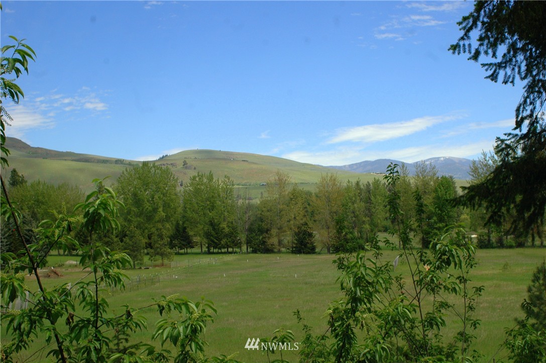 401 Wolf Creek Road Winthrop, WA 98862 - Photo 9 of 25 Gallery Image 9