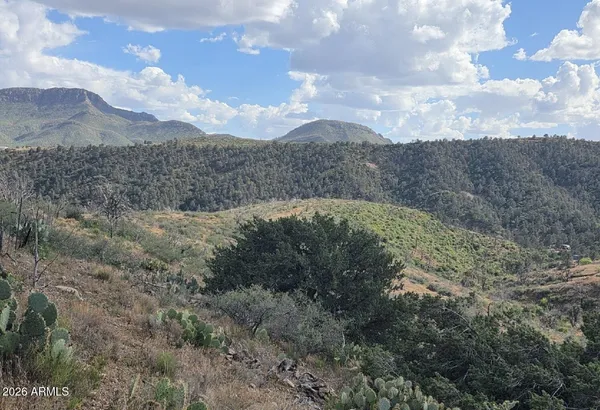 a view of a dry yard with mountains in the background