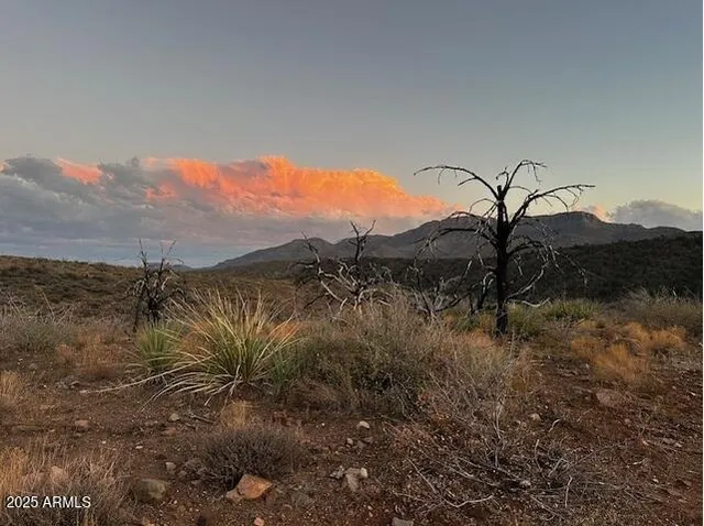 $220,000 | 10-xx East 10-xx E Horseshoe Springs Road, Unit 2, Winkelman, AZ 85192