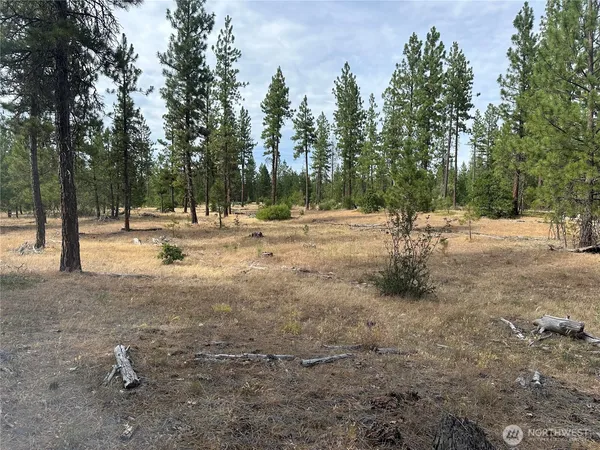 $199,000 | 3 Greyback Mt Road, Goldendale, WA 98620