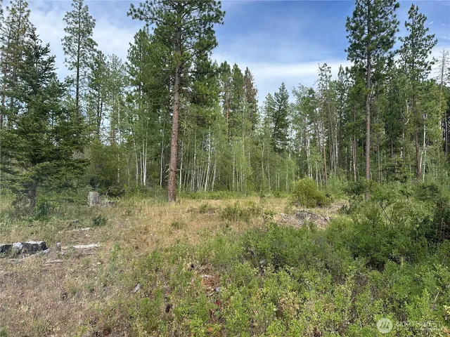 $199,000 | 3 Greyback Mt Road, Goldendale, WA 98620