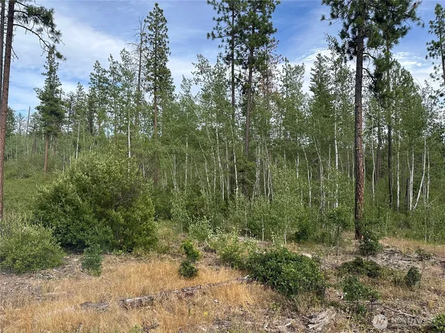 $199,000 | 3 Greyback Mt Road, Goldendale, WA 98620