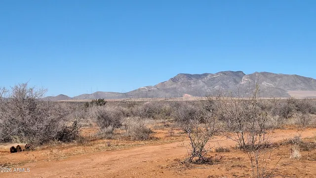a view of a dry yard with mountains in the background
