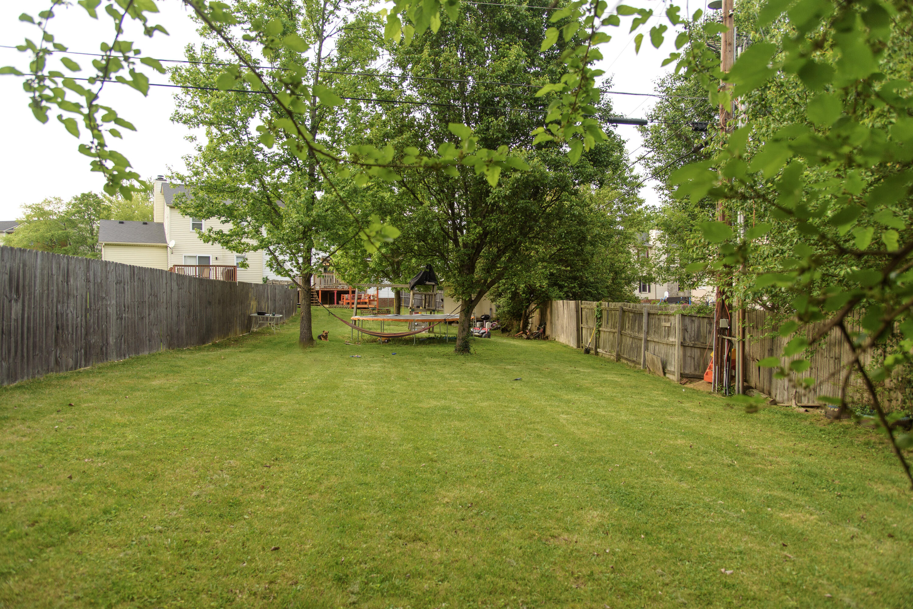 1418 Ridgecrest Drive Lexington, KY 40517 - Photo 12 of 50 12-DSC_8735