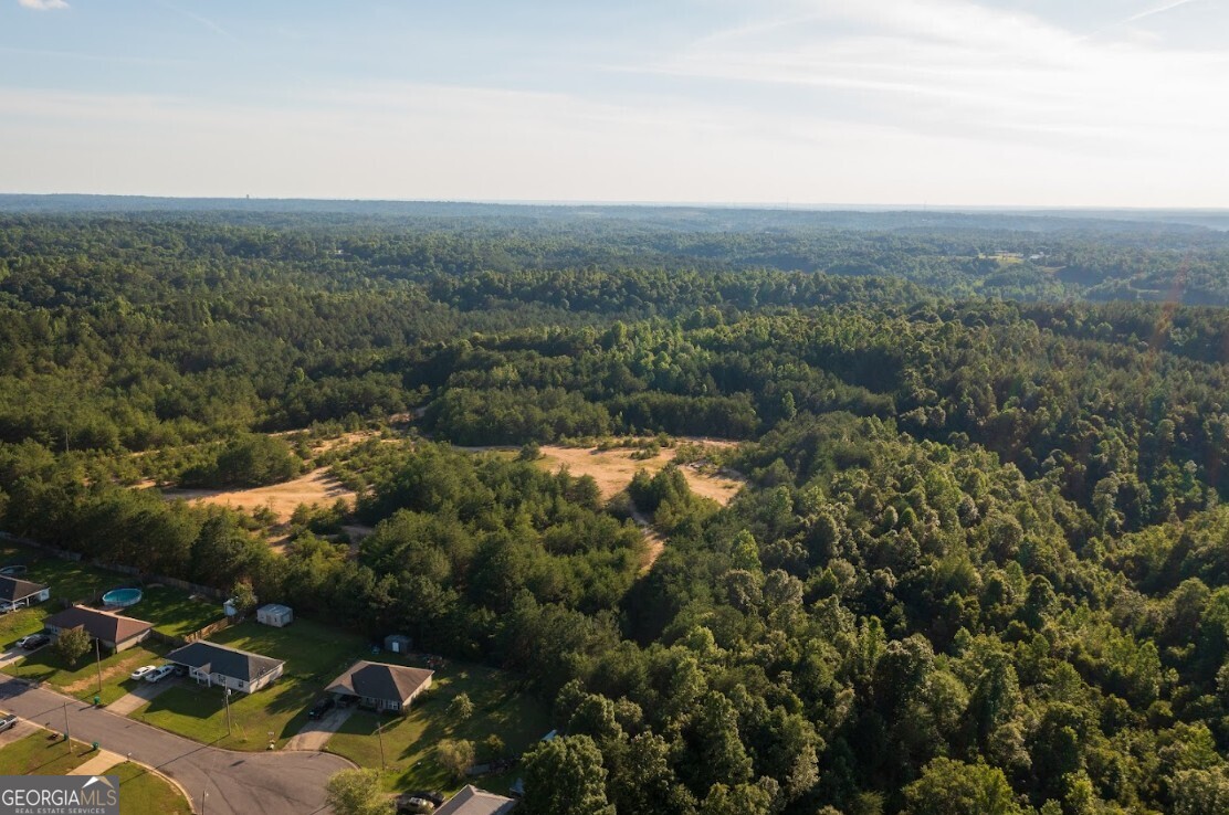 0 Gilmore Mine Road, Unit TRACT A/B Cottondale, AL 35453 - Photo 7 of 18