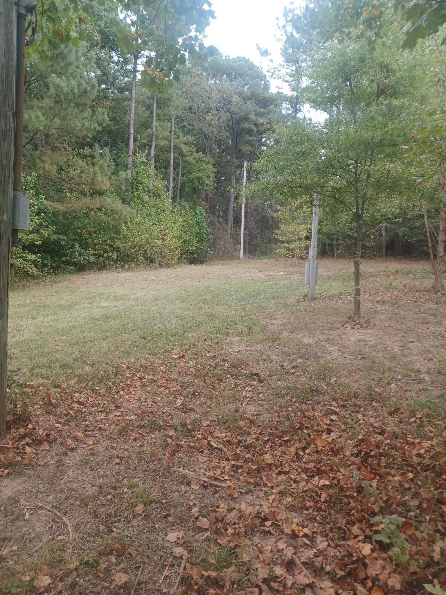 567 Rawls Road Paris, TN 38242 - Photo 1 of 11