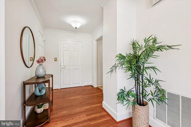 a picture of a room with wooden floor and a potted plant