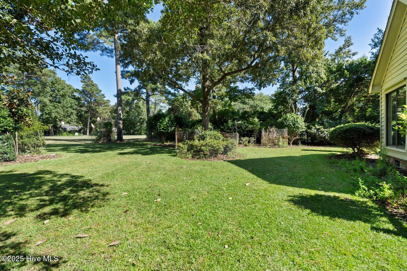 153 Olde Point Road Hampstead, NC 28443 - Photo 19 of 21 garden