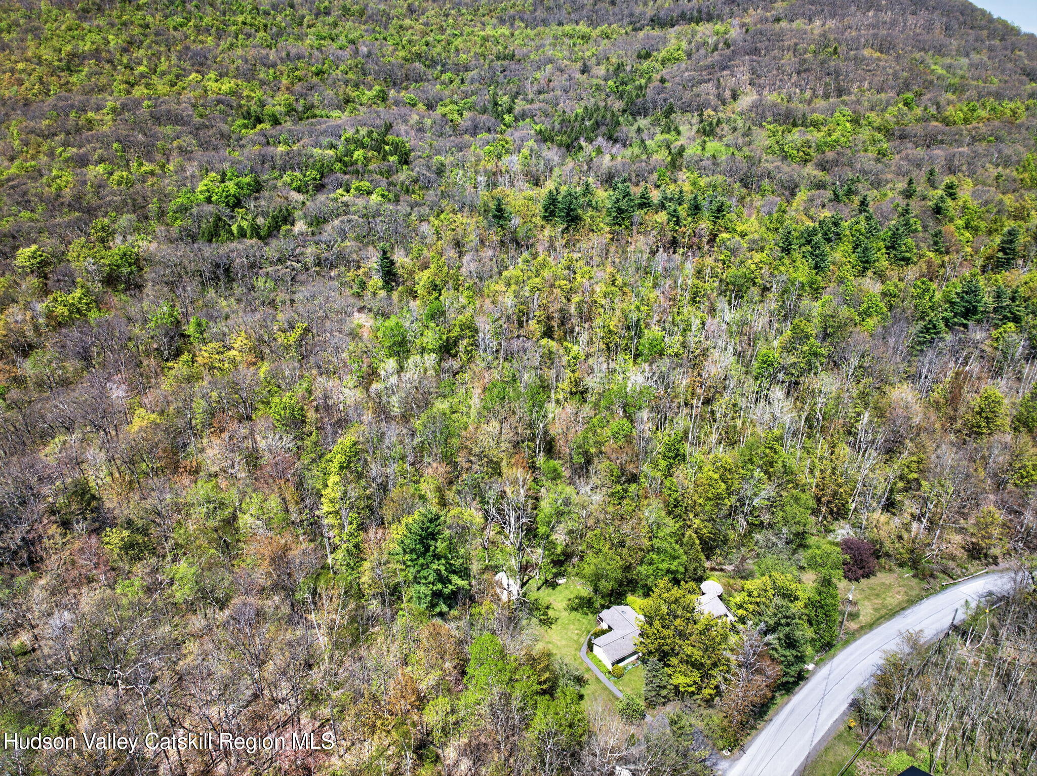 689 Old Road Windham, NY 12496 - Photo 2 of 42 a view of a garden with a tree