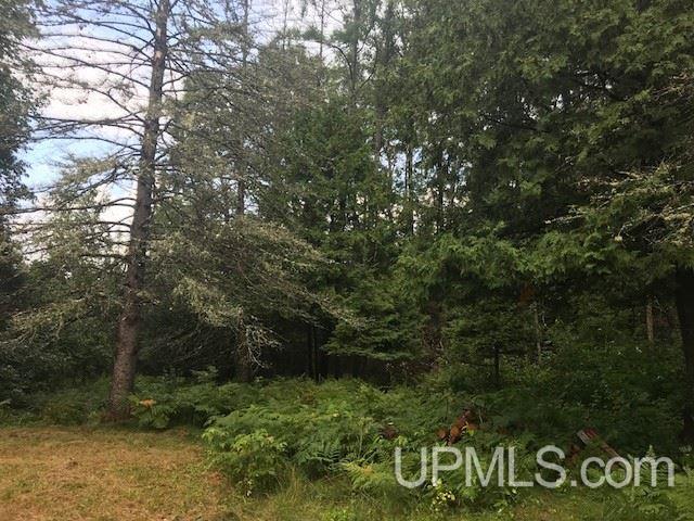 1810 Iron Lake Road Iron River, MI 49935 - Photo 18 of 32