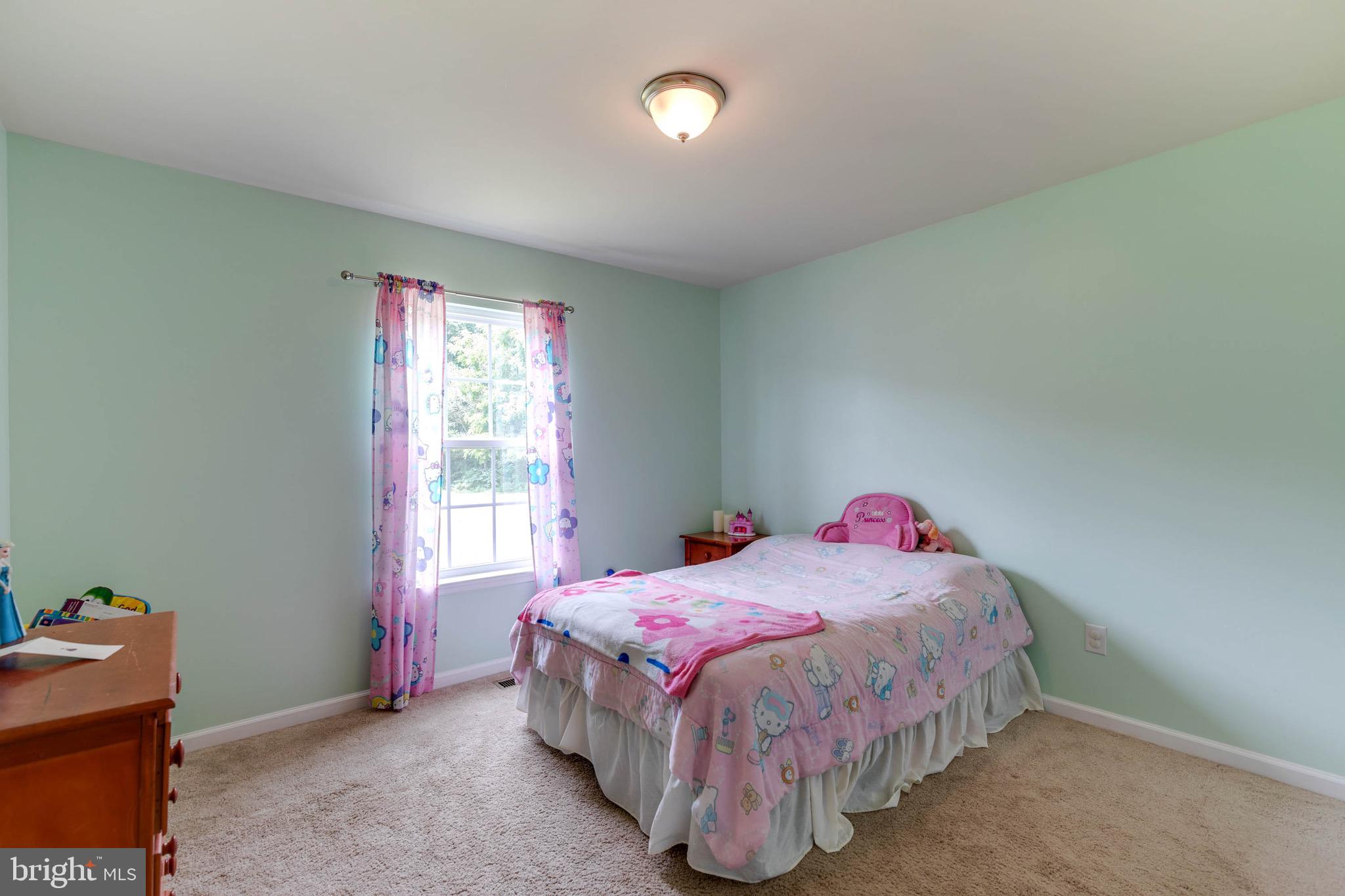 5755 Balls Mill Road Midland, VA 22728 - Photo 20 of 44 Gallery Image 20