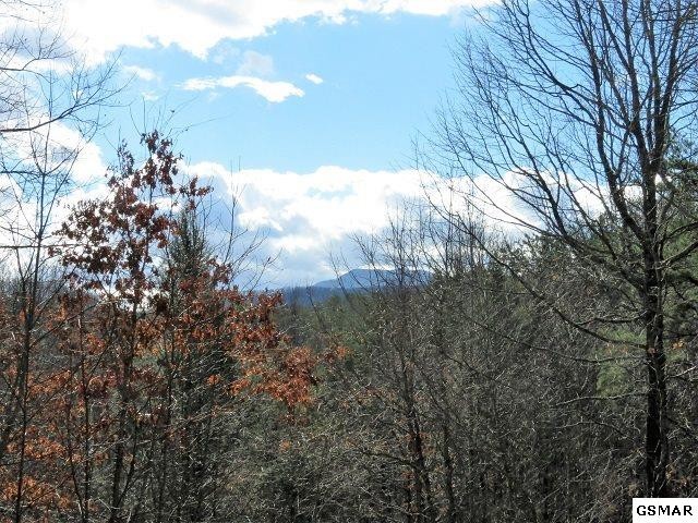 202 Great View Way Newport, TN 37821 - Photo 2 of 22 Gallery Image 2