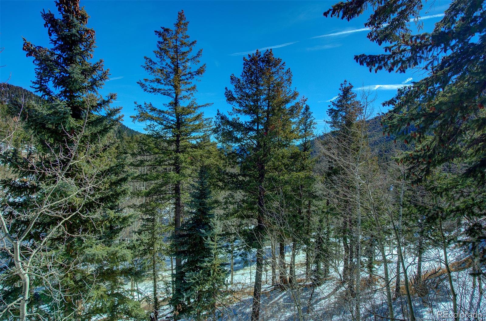 127 Aspen Place Evergreen, CO 80439 - Photo 33 of 35