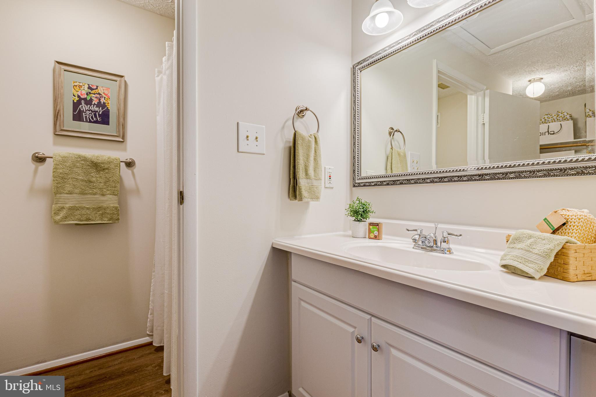 11500 Ivy Bush Court Reston, VA 20191 - Photo 16 of 33 Master bath - sink area + toilet + shower room