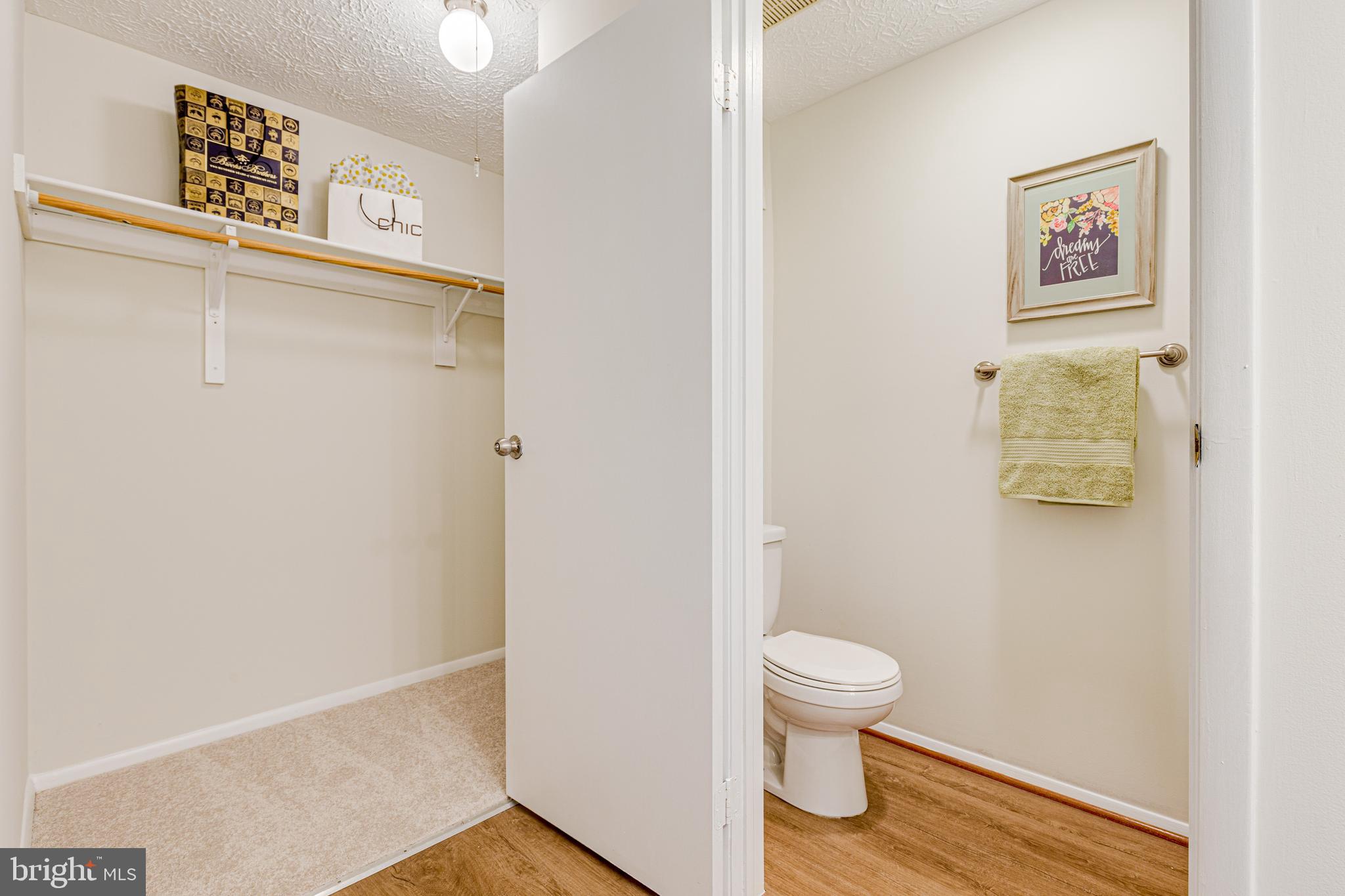 11500 Ivy Bush Court Reston, VA 20191 - Photo 17 of 33 <aster bath sink area opens to walk-in closet