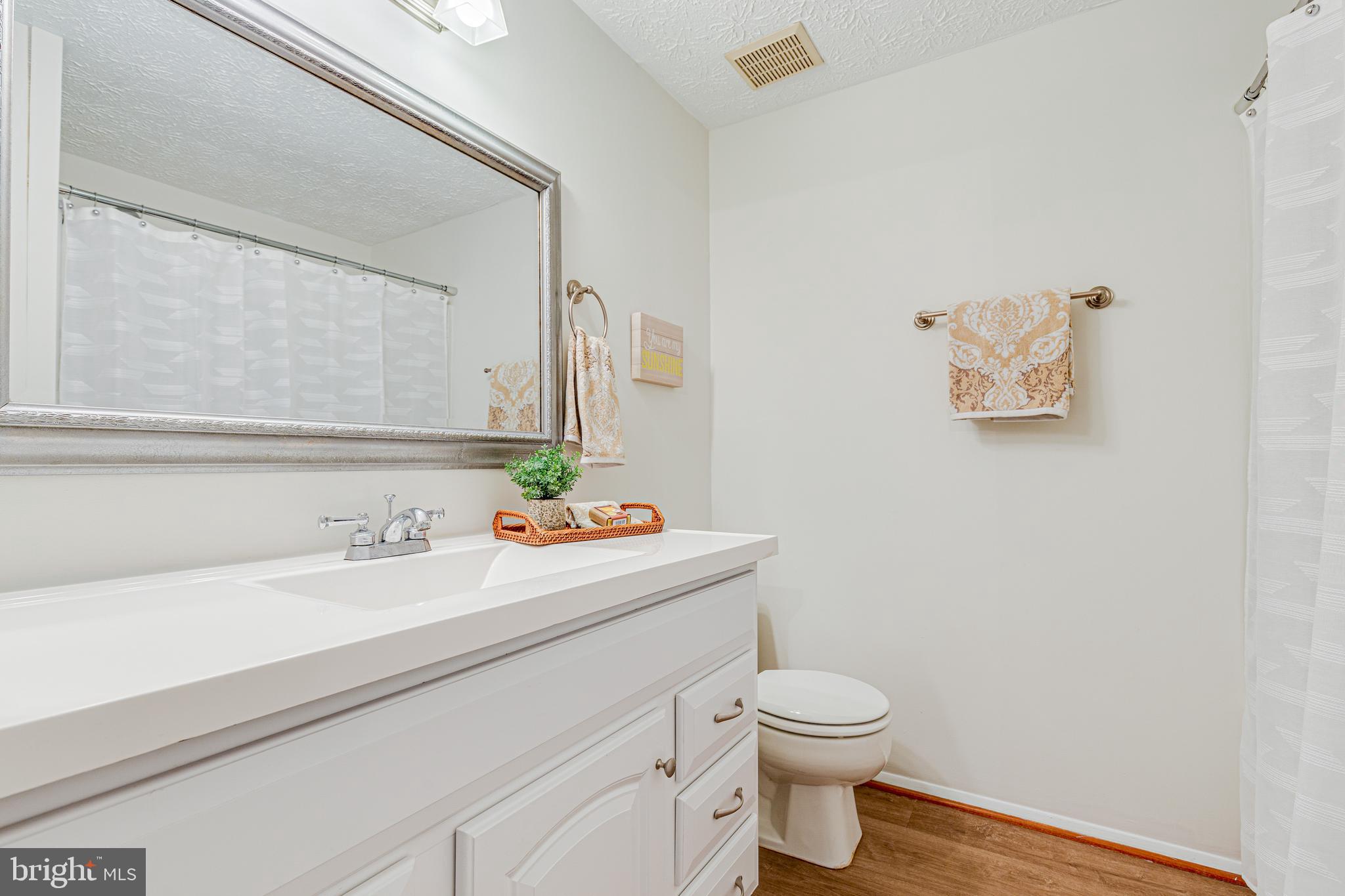 11500 Ivy Bush Court Reston, VA 20191 - Photo 19 of 33 Hall bath has luxury vinyl plank flooring.
