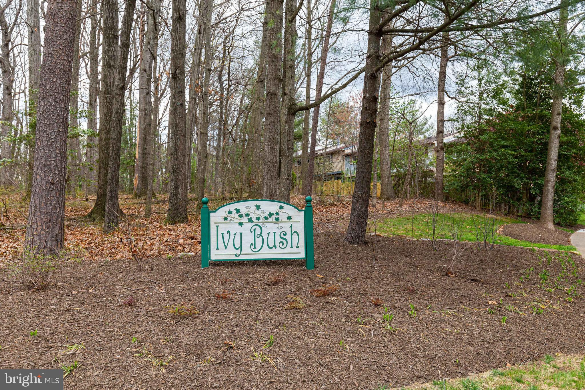 11500 Ivy Bush Court Reston, VA 20191 - Photo 30 of 33 Ivy Bush is a lovely community with 1 road access.