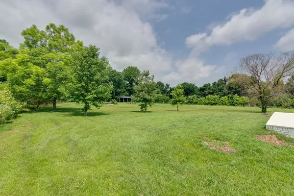 a view of a green field with plants and trees in the background