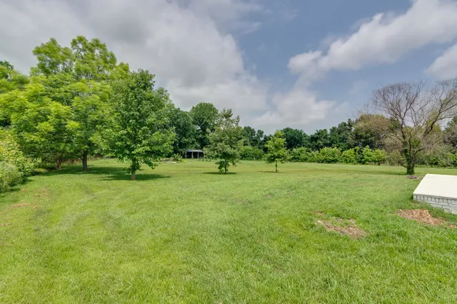 a view of a green field with plants and trees in the background