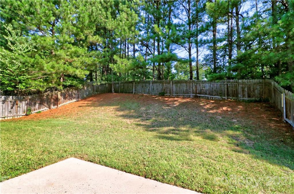 1509 Summit Ridge Lane Kannapolis, NC 28083 - Photo 35 of 37 a view of a backyard with tree