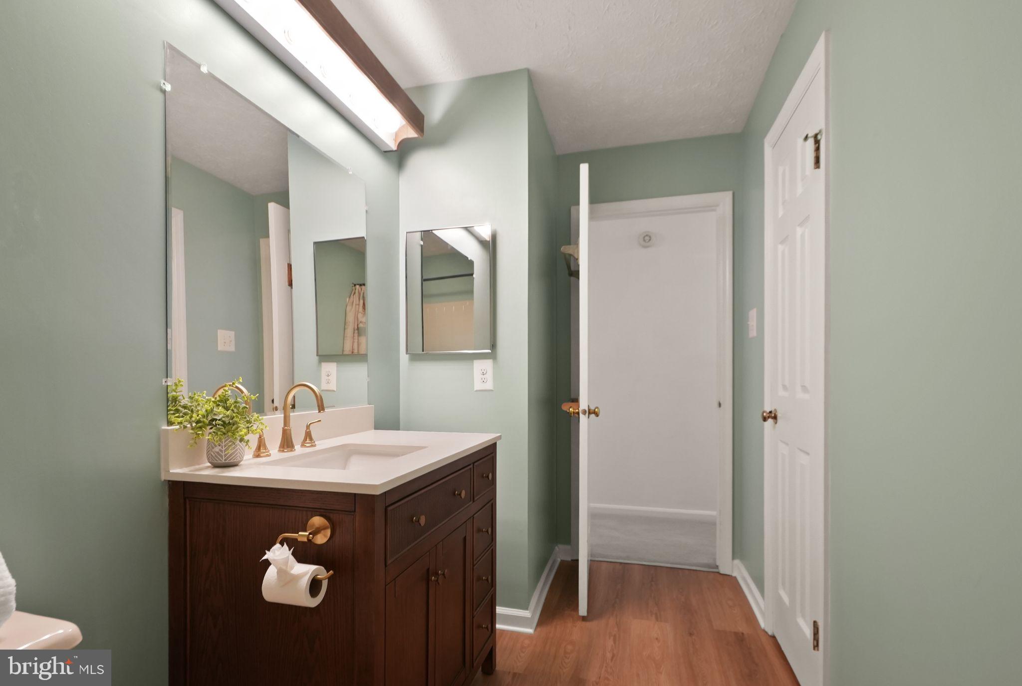 169 Applegate Drive Sterling, VA 20164 - Photo 38 of 55 a bathroom with a sink and a mirror