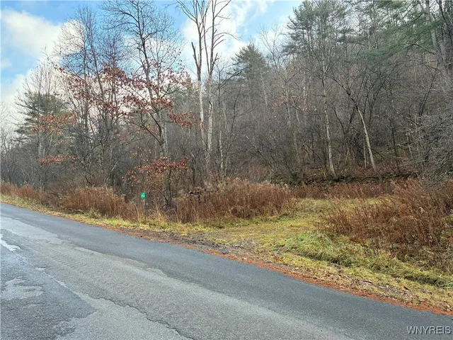 $44,900 | 0 Alma Hill Road, Wellsville, NY 14895