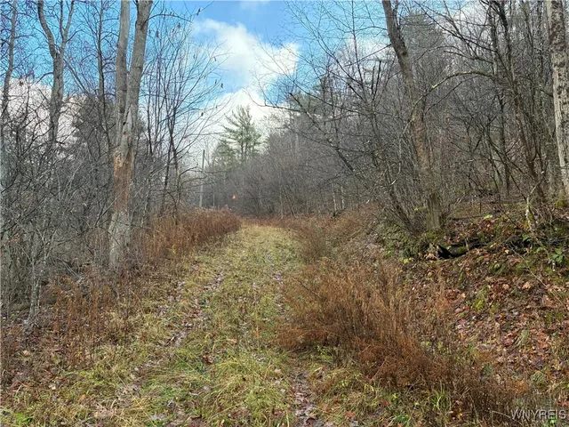 $44,900 | 0 Alma Hill Road, Wellsville, NY 14895