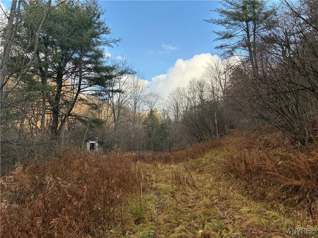 $44,900 | 0 Alma Hill Road, Wellsville, NY 14895