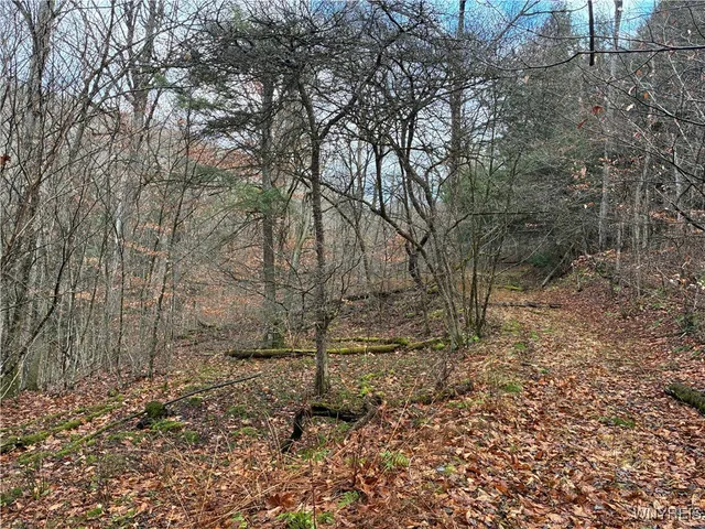 $44,900 | 0 Alma Hill Road, Wellsville, NY 14895