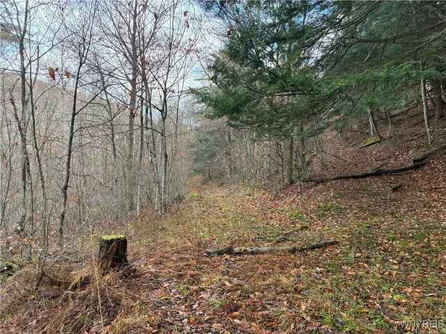 $44,900 | 0 Alma Hill Road, Wellsville, NY 14895