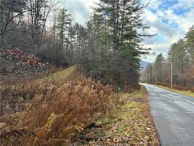 $44,900 | 0 Alma Hill Road, Wellsville, NY 14895