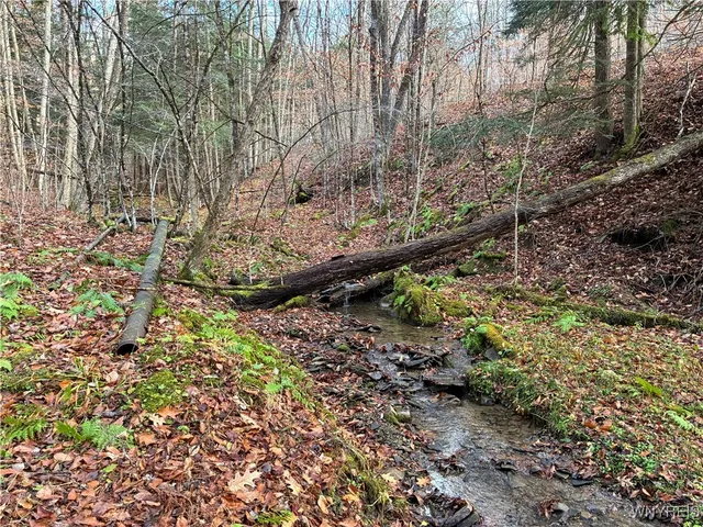 $44,900 | 0 Alma Hill Road, Wellsville, NY 14895
