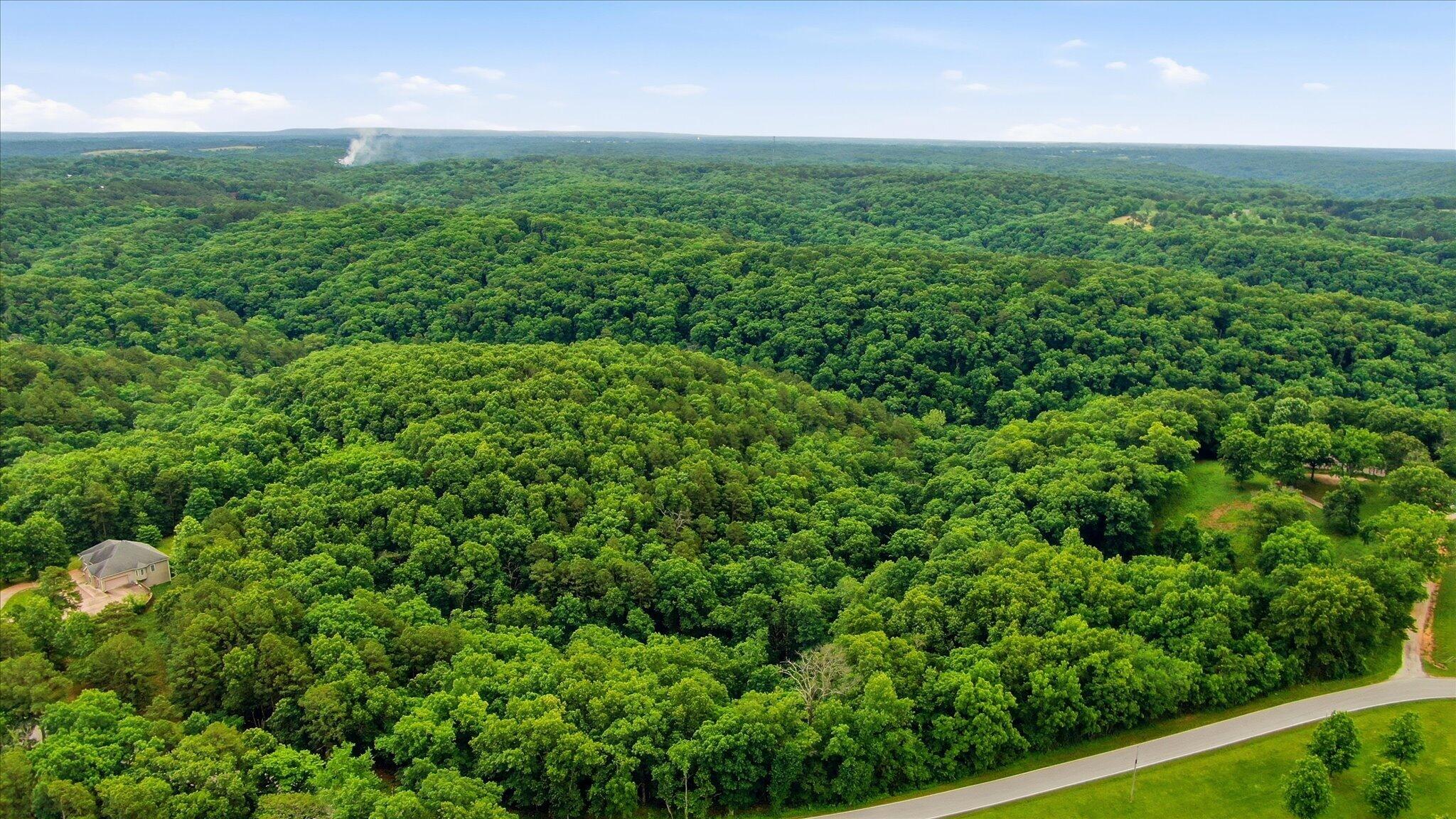 0 Cron Road Lampe, MO 65681 - Photo 4 of 8 4-DJI_0679