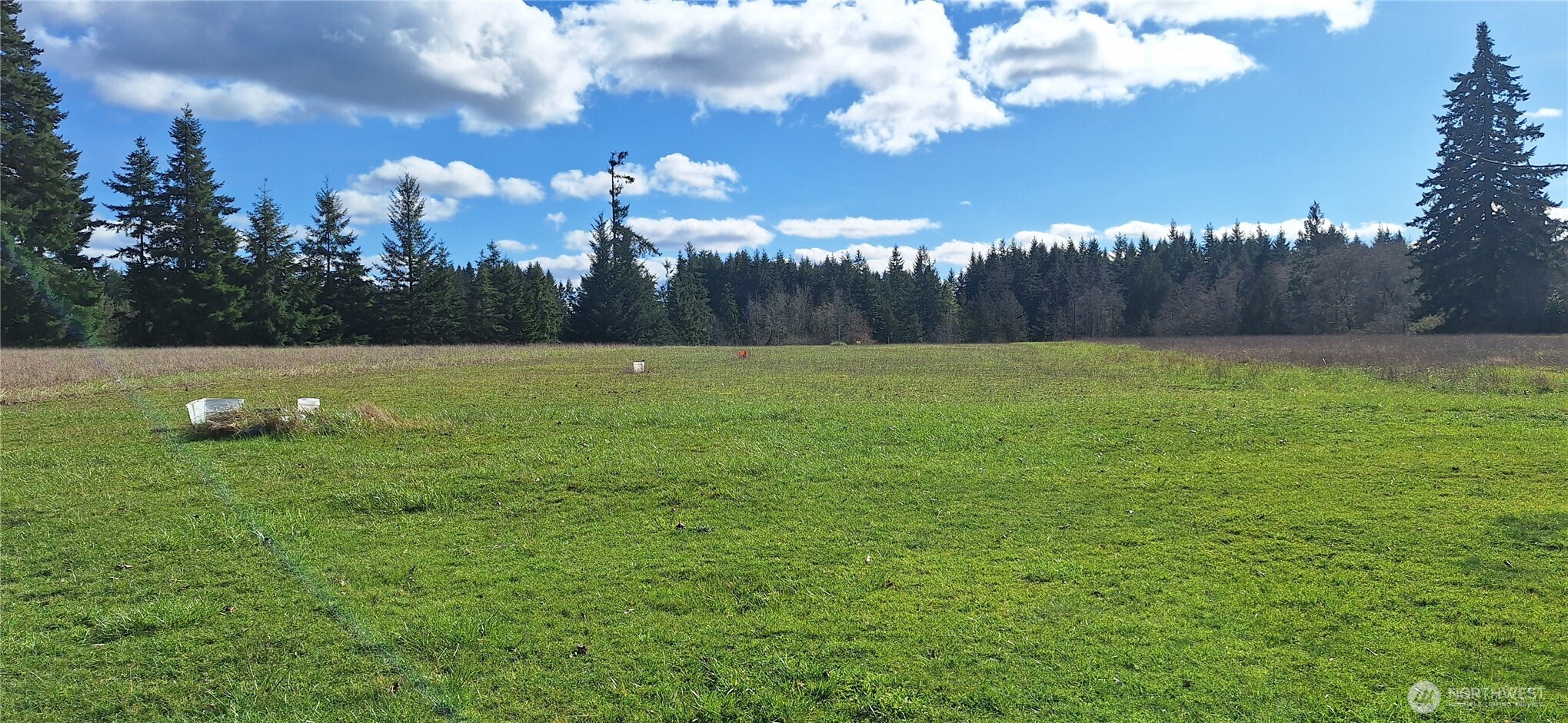 664 Rhoades Road Winlock, WA 98596 - Photo 7 of 26 Gallery Image 7