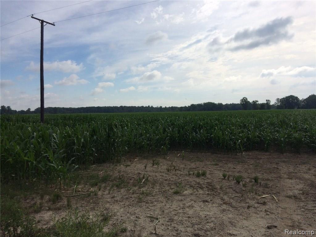 13878 Fisher Road Yale, MI 48097 - Photo 2 of 2