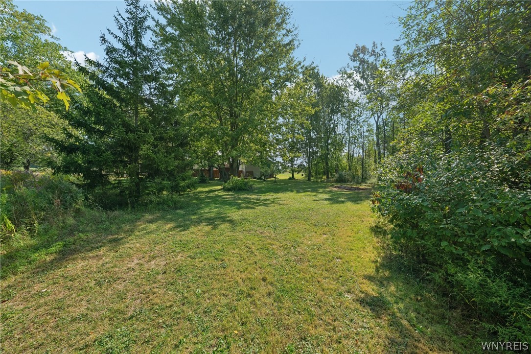 8420 Akron Road Royalton, NY 14094 - Photo 31 of 46