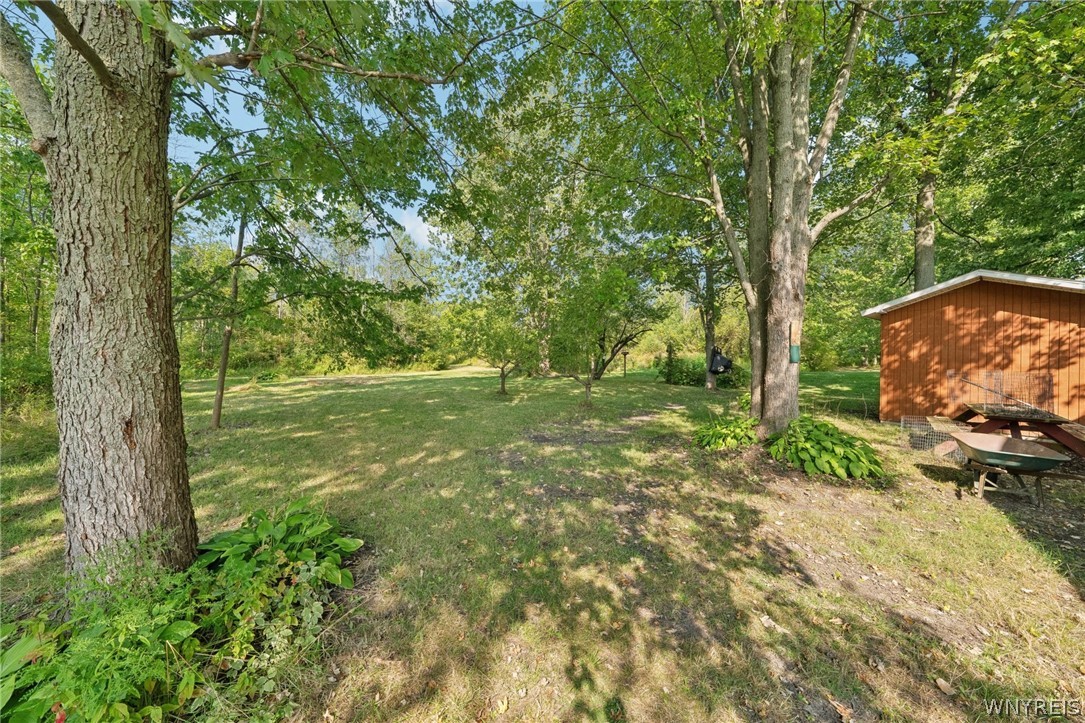 8420 Akron Road Royalton, NY 14094 - Photo 32 of 46